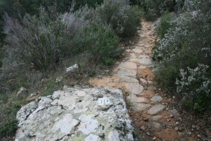 Roca amb forat i tres franges gravades al Camí Romà. Ardenya