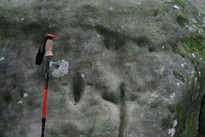 Roca amb gravats rupestres al Pla de Savassona