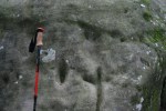 Roca amb gravats rupestres al Pla de&nbsp;Savassona