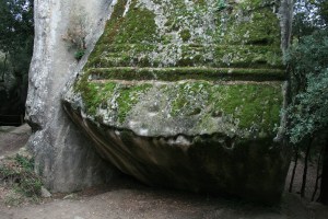  Pedra del Sacrifici del Pla de Savassona