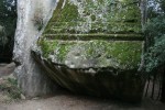 Pedra del Sacrifici del Pla de&nbsp;Savassona