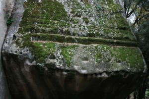  Pedra del Sacrifici del Pla de Savassona