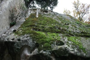  Pedra del Sacrifici del Pla de Savassona