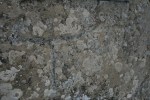 Gravat rupestre, cavall, al costat de Sant Feliuet de&nbsp;Savassona