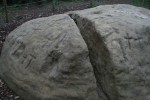 Pedra de les bruixes. Roca amb gravats rupestres, moltes creus, al Pla de&nbsp;Savassona