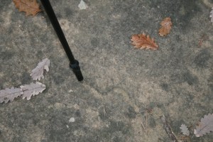 Roca al terra al mig del camí­ cap a Tavèrnoles amb possibles gravats rupestres