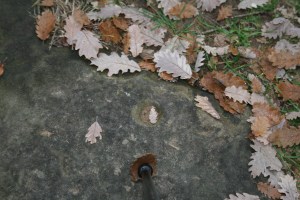 Roca al terra al mig del camí­ cap a Tavèrnoles amb possibles gravats rupestres