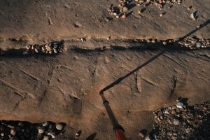 Gravats rupestres dels Cogullons. Rojals, Montblanc, Muntanyes de Prades