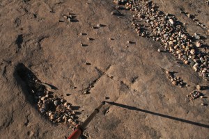 Gravats rupestres dels Cogullons. Rojals, Montblanc, Muntanyes de Prades