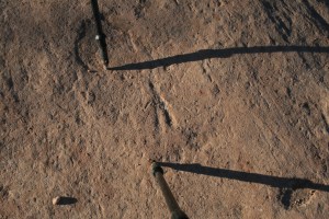 Gravats rupestres dels Cogullons. Rojals, Montblanc, Muntanyes de Prades