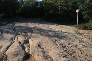 Gravats rupestres dels Cogullons. Rojals, Montblanc, Muntanyes de Prades