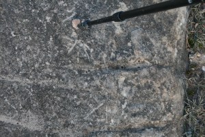 Possibles gravats rupestres dels Cogullons. Rojals, Montblanc, Muntanyes de Prades