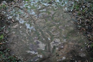 Gravats rupestres dels Cogullons. Rojals, Montblanc, Muntanyes de Prades