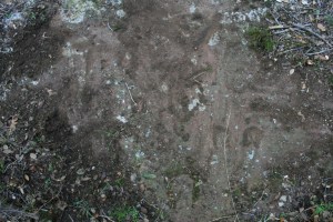 Gravats rupestres dels Cogullons. Rojals, Montblanc, Muntanyes de Prades