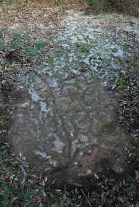 Gravats rupestres dels Cogullons. Rojals, Montblanc, Muntanyes de Prades