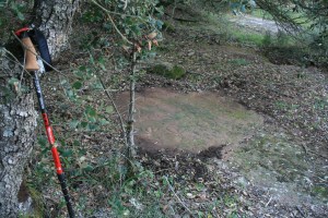 Gravats rupestres dels Cogullons. Rojals, Montblanc, Muntanyes de Prades