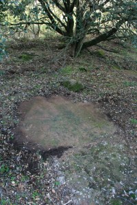 Gravats rupestres dels Cogullons. Rojals, Montblanc, Muntanyes de Prades