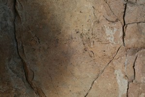 Pintures rupestres de l'Abric de la Baridana I. Rojals, Montblanc, Muntanyes de Prades