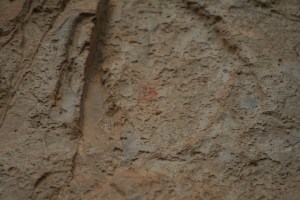 Pintures rupestres de l'Abric de la Baridana I. Rojals, Montblanc, Muntanyes de Prades