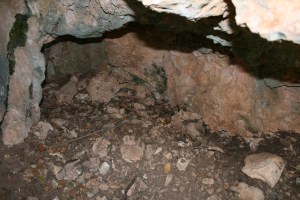 Abrics de la Roja Roja o de Valldecerves