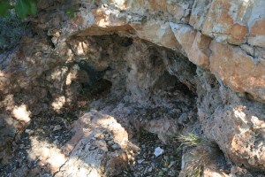 Abrics de la Roja Roja o de Valldecerves