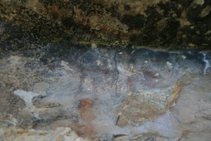 Pintures rupestres de la Roca Roja o de Valldecerves. Abric II