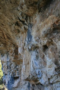 Abric II de la Roja Roja o de Valldecerves
