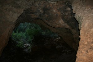 Cova de Valldecerves