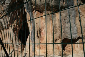 Pintures de Cabrafeixet