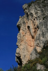 "Cavall" a la roca del Barranc de les Nines