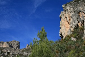 "Cavall" a la roca del Barranc de les Nines