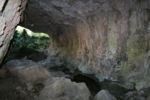 Balma al Barranc de les Nines