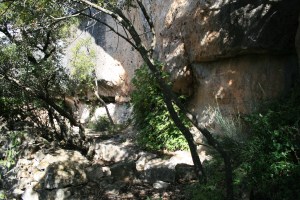 Pintures rupestres del Mas d'en Carles. Rojals, Montblanc, Muntanyes de Prades