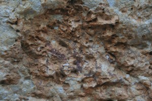 Pintures rupestres de l'Abric I de l'Ermita d'Ulldecona