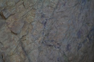 Pintures rupestres de la Cova dels Cavalls. Barranc de la Valltorta