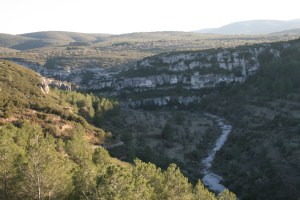 Barranc de la Valltorta des de les Coves del Civil o de Ribassals