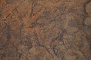 Pintures rupestres de les Coves del Civil o de Ribassals. Barranc de la Valltorta