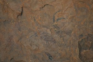 Pintures rupestres de les Coves del Civil o de Ribassals. Barranc de la Valltorta