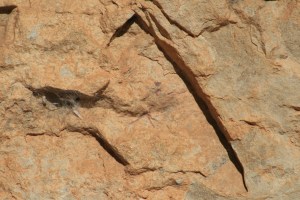 Pintures rupestres de la Cova Remígia, Barranc de Gasulla, Ares del Maestrat