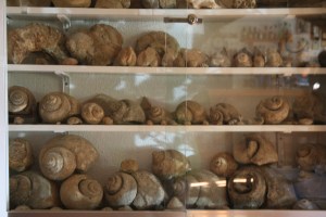 Mas de la Montalbana, Ares del Maestrat