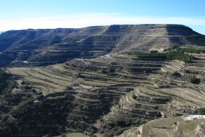 Paisatge de terrasses al voltant d'Ares del Maestrat