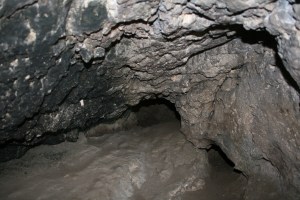 Cova dels Segarulls (Olèrdola, Alt Penedès)