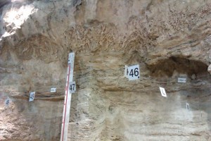 Abric Romaní, Capellades