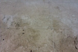 Abric Romaní, Capellades