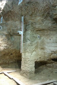 Columna amb els nivells d'ocupació a l'Abric Romaní, Capellades