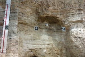 Columna amb els nivells d'ocupació a l'Abric Romaní, Capellades