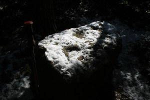Pedra amb inscultures de Collserola amb neu