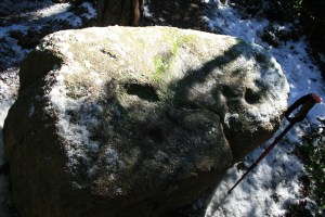 Pedra amb inscultures de Collserola