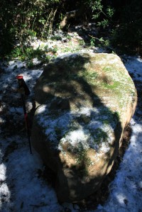 Pedra amb inscultures de Collserola