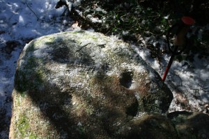 Pedra amb inscultures de Collserola